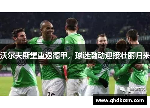 沃尔夫斯堡重返德甲，球迷激动迎接壮丽归来