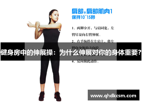 健身房中的伸展操：为什么伸展对你的身体重要？