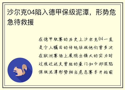 沙尔克04陷入德甲保级泥潭，形势危急待救援